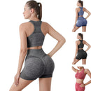 Conjunto Fitness Sem Costura de Alta Elasticidade para Mulheres - Desconto Certeiro
